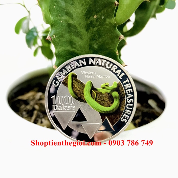 Xu hình con Rắn Gambia 1000 Dalasis 2015  -  SP005212 